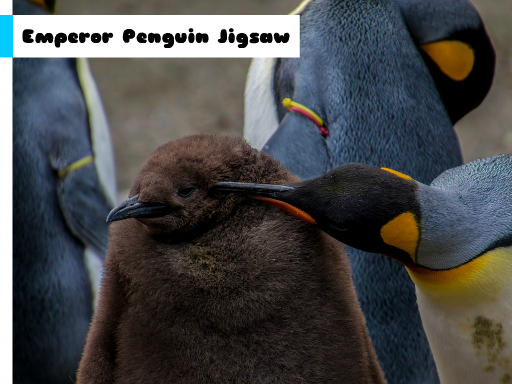 Emperor Penguin Jigsaw