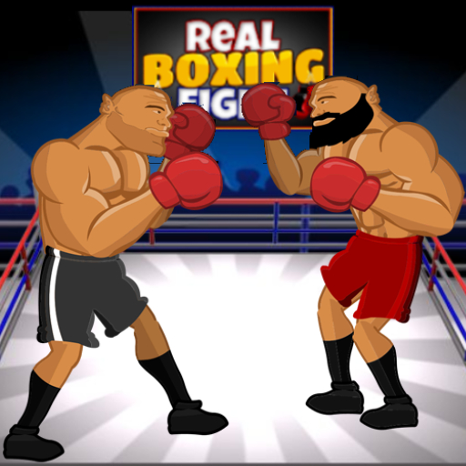 Real Boxing Fight